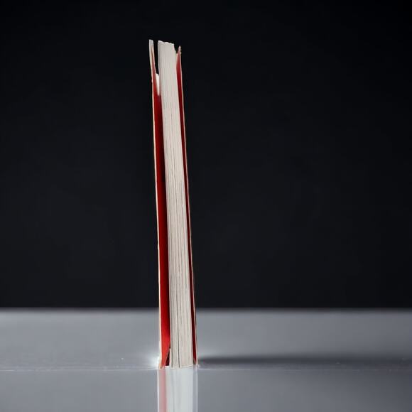 Ivy & Bean (Book 1) Paperback – April 19, 2007 by Annie Barrows - Picture 3 of 5